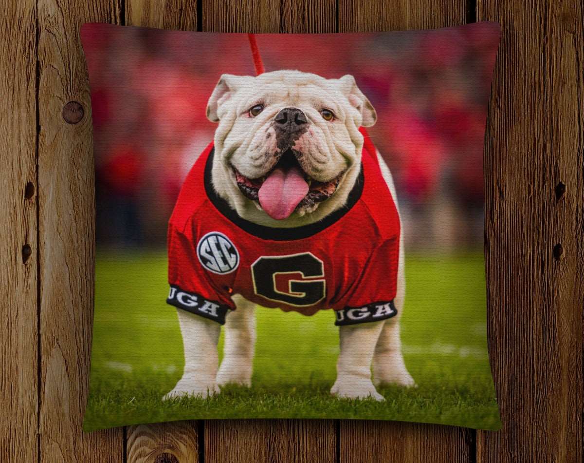 Georgia bulldog hot sale outdoor pillows