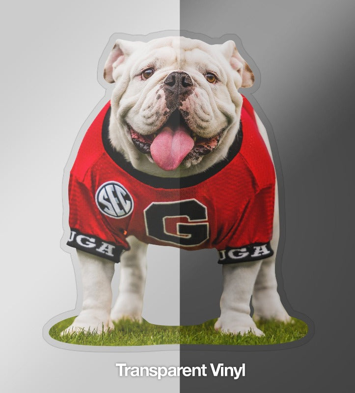 Georgia Bulldog Stickers!