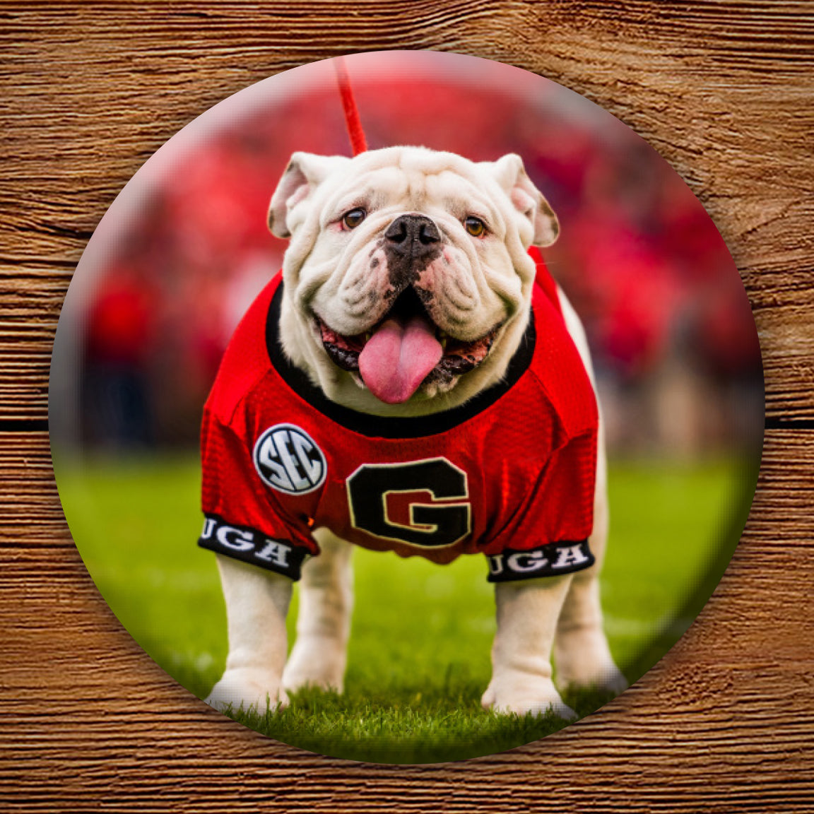 UGA Georgia Bulldogs: Football Game Ball Framed store Photo Picture Print, Graduation Gift, Dorm Rooms, Dawg Cave, Fraternity Sorority Home Decor