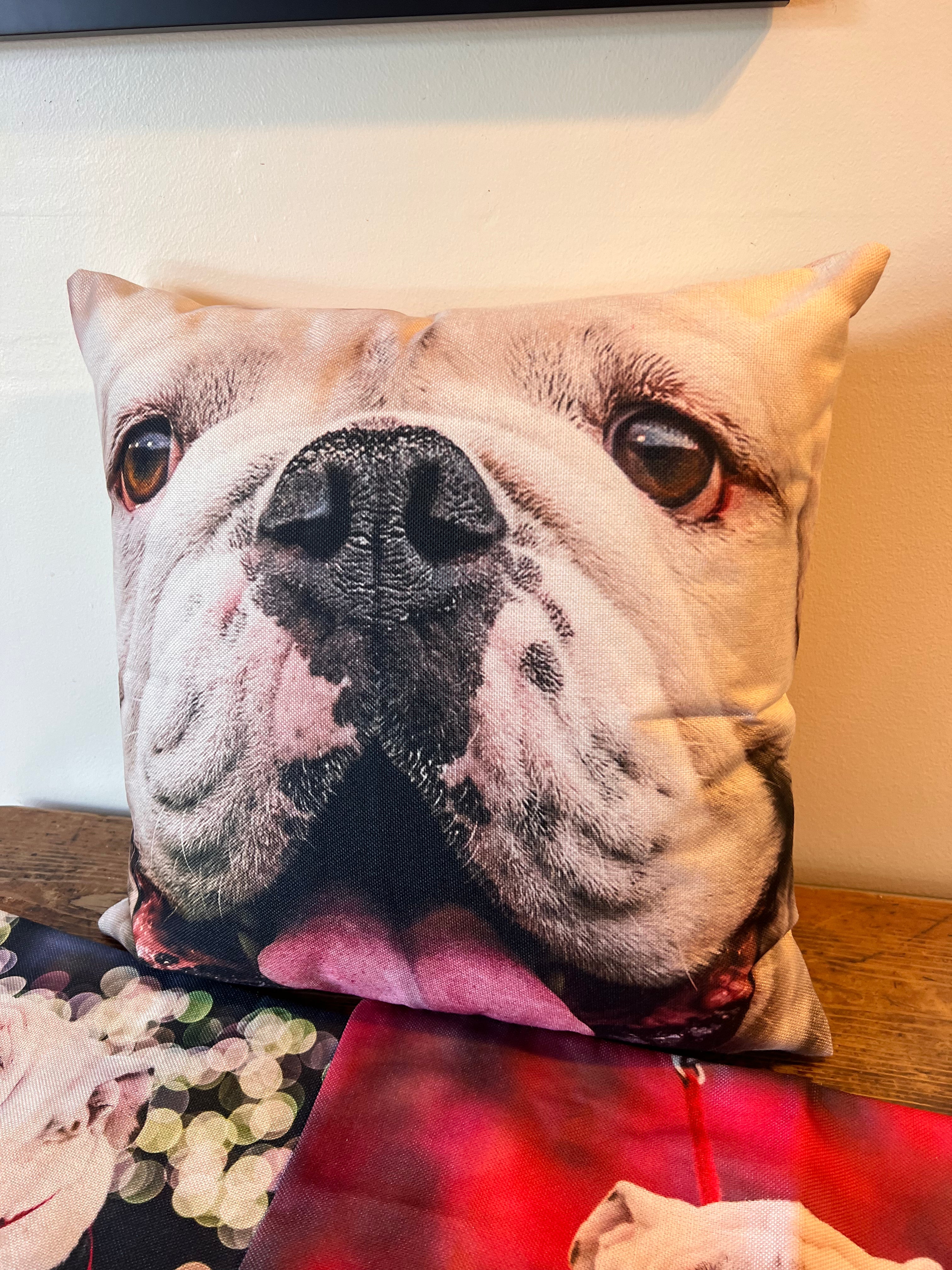 Uga X Mascot Closeup 18x18 Throw Pillow Indoor Outdoor Georgia Bu Georgia Bulldogs Art by Wright Photo