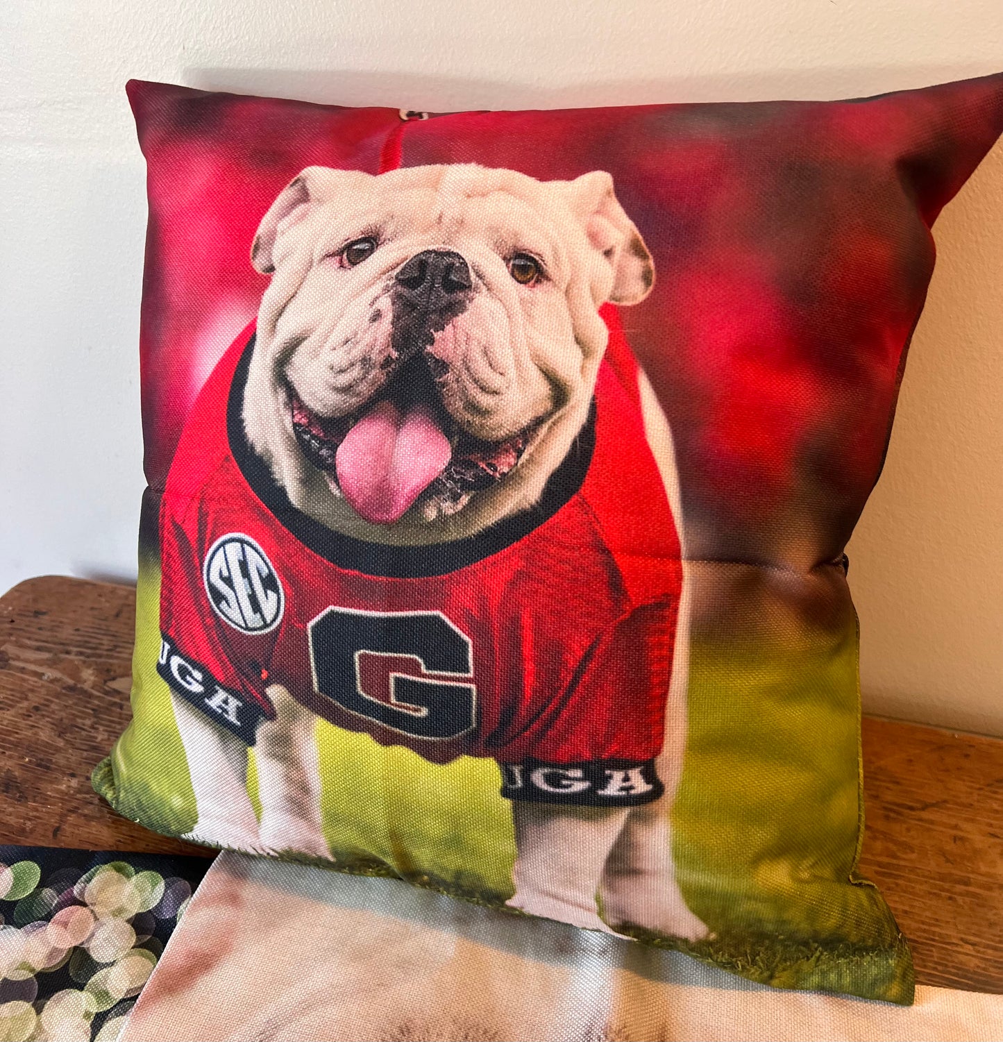 Uga X Mascot 18x18" Throw Pillow - Indoor/Outdoor - Georgia Bulldogs Tailgate, Dawg Cave, Home Decor