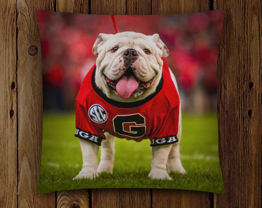 Uga X Mascot 18x18" Throw Pillow - Indoor/Outdoor - Georgia Bulldogs Tailgate, Dawg Cave, Home Decor