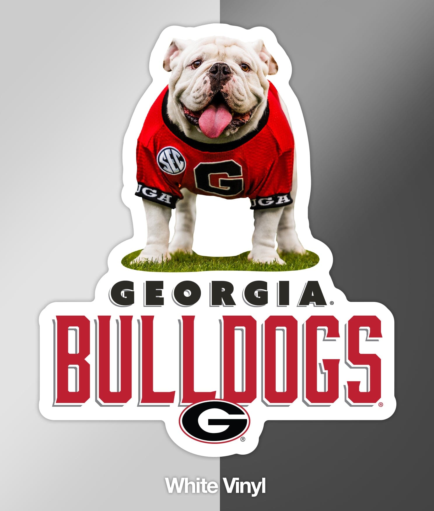 Georgia bulldogs hot sale for sale