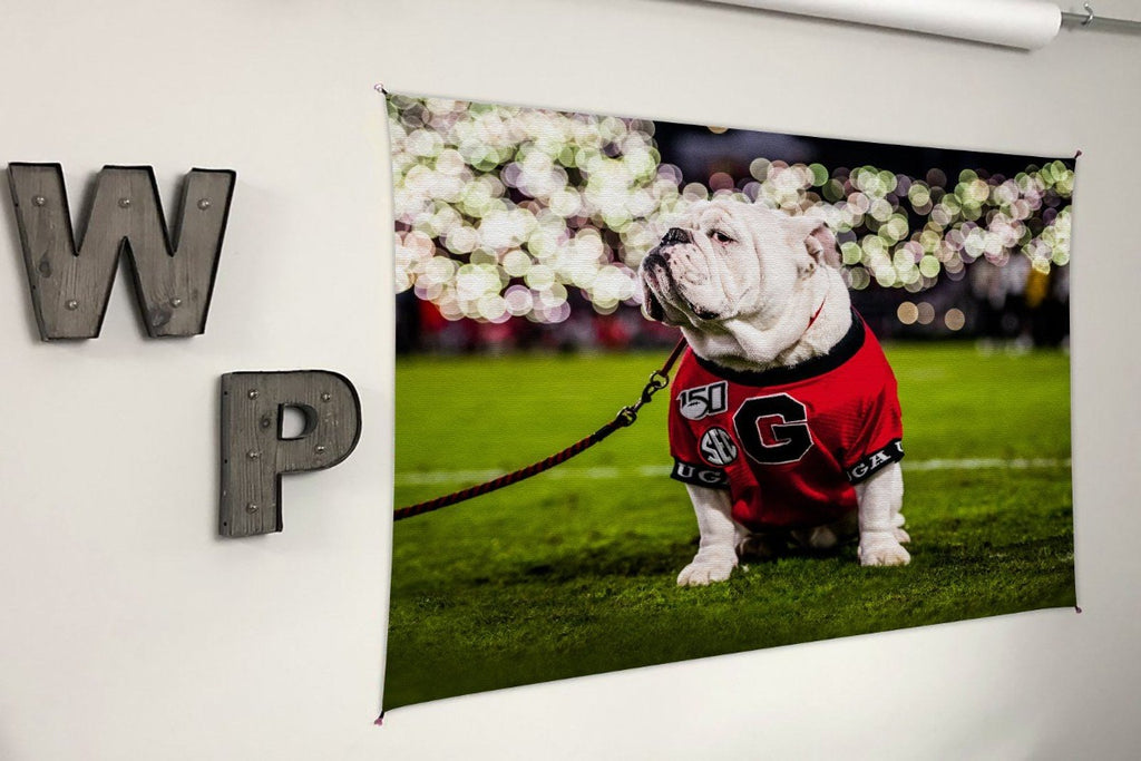 Georgia Bulldogs UGA X Under the Lights Mascot Tapestry